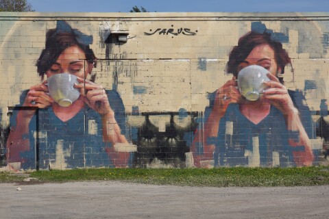 Mycol urban graffiti 2790348